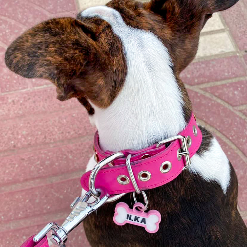 Chapita personalizada para perro – Modelo Huesito color rosa palo