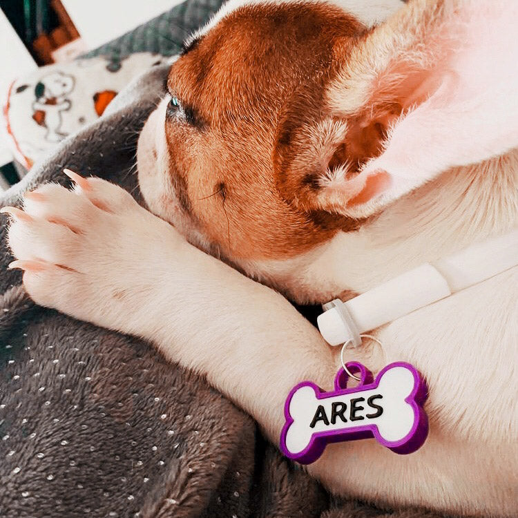 Chapita personalizada para perro – Modelo Huesito color morado