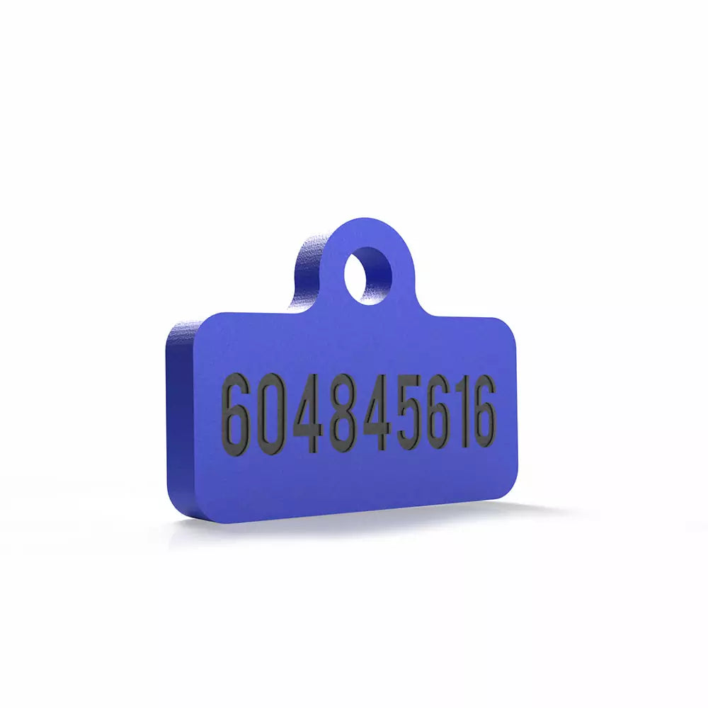 Chapita personalizada para perro – Modelo Retro azul eléctrico