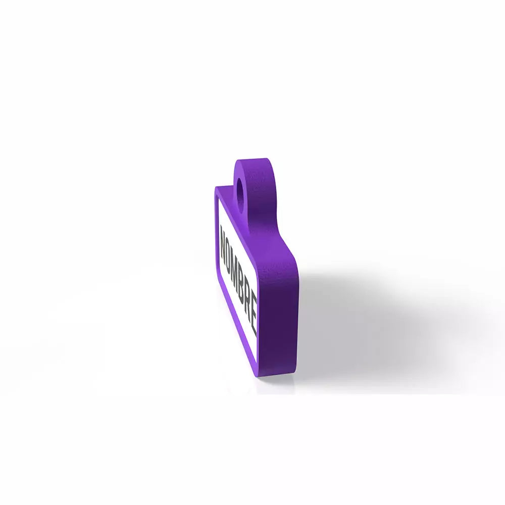 Chapita personalizada para perro – Modelo Retro color morado