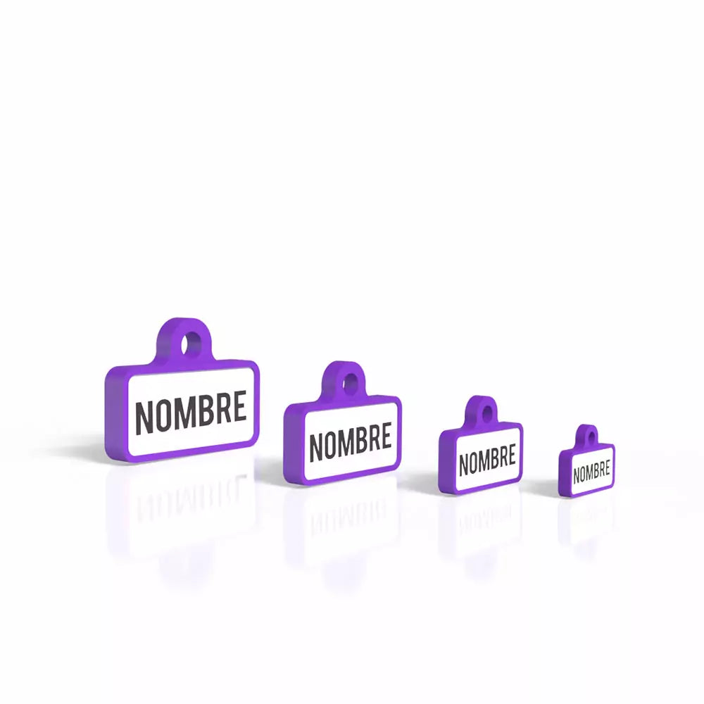 Chapita personalizada para perro – Modelo Retro color morado