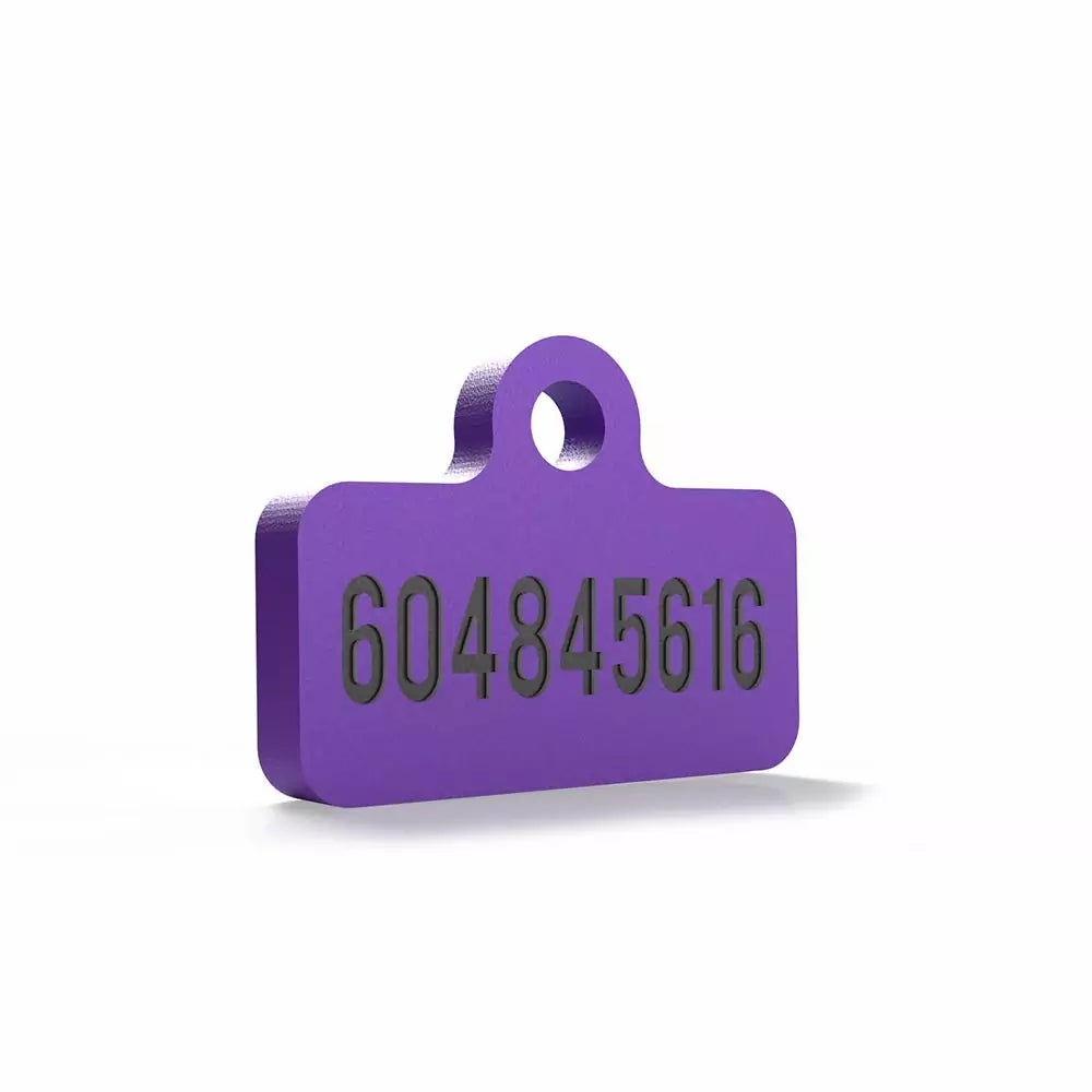 Chapita personalizada para perro – Modelo Retro color morado