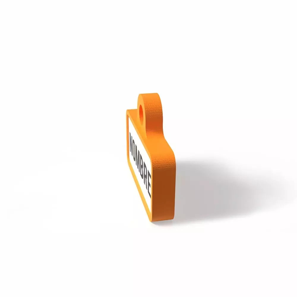 Chapita personalizada para perro – Modelo Retro color naranja