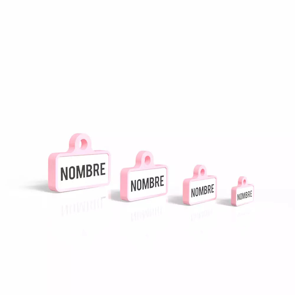 Chapita personalizada para perro – Modelo Retro color rosa palo