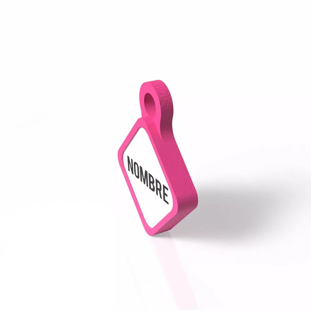 Chapita personalizada para perro – Rombo Scooby color fucsia