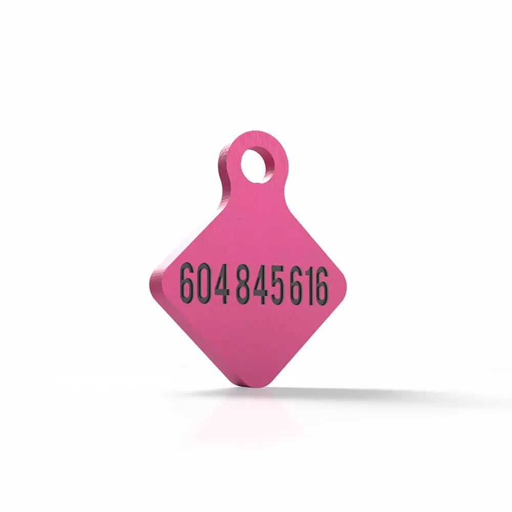 Chapita personalizada para perro – Rombo Scooby color fucsia