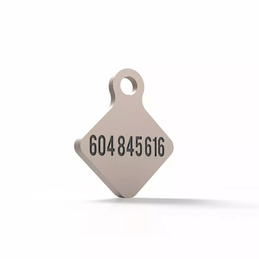 Chapita personalizada para perro – Rombo Scooby tono madera