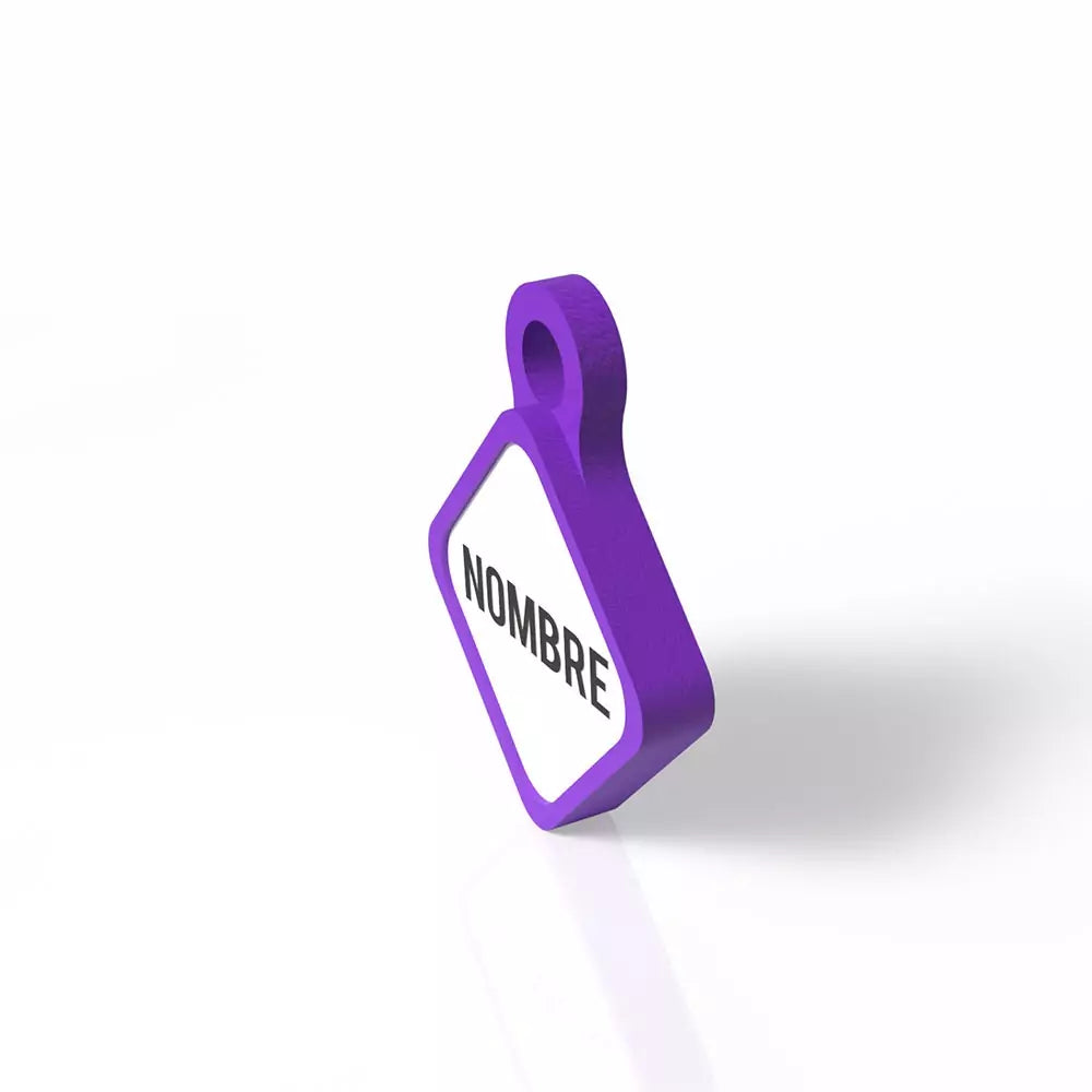Chapita personalizada para perro – Rombo Scooby color morado