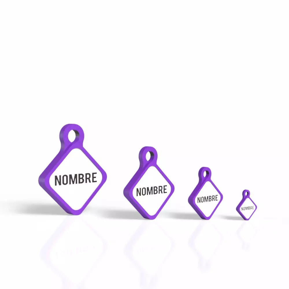 Chapita personalizada para perro – Rombo Scooby color morado