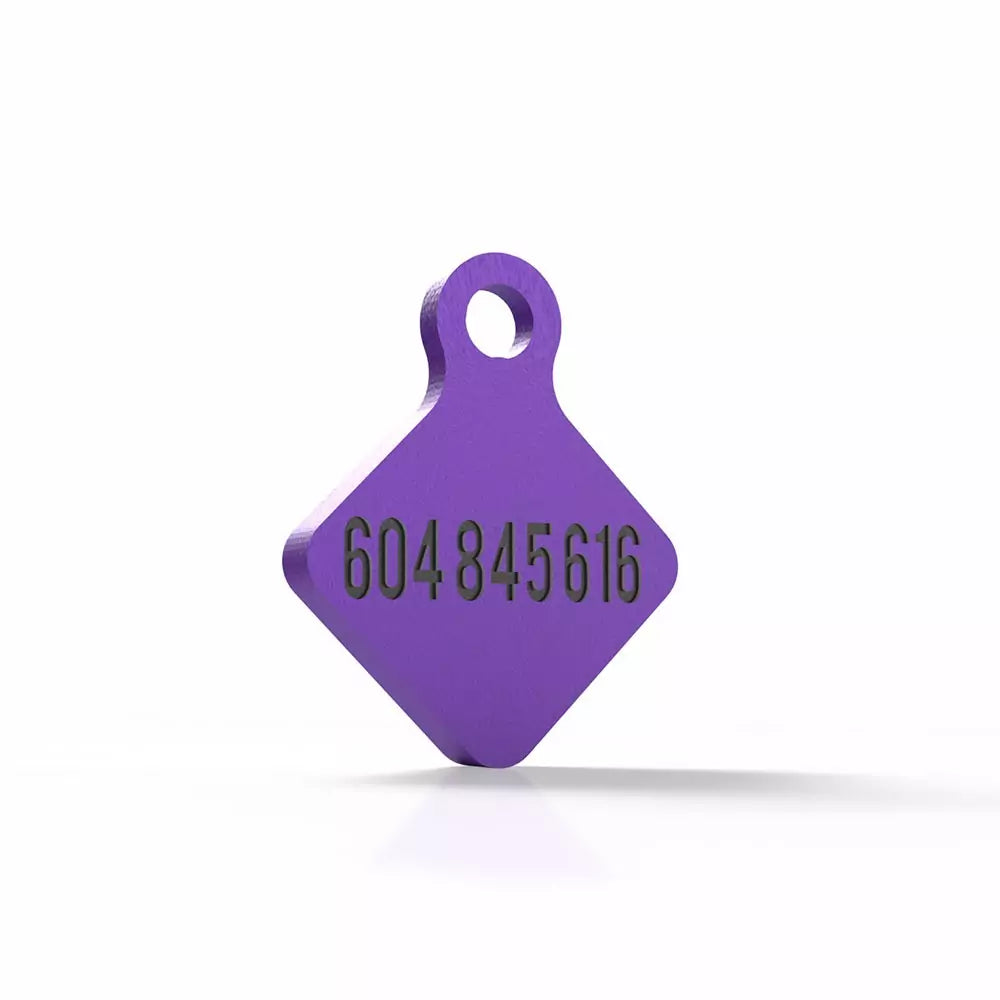 Chapita personalizada para perro – Rombo Scooby color morado