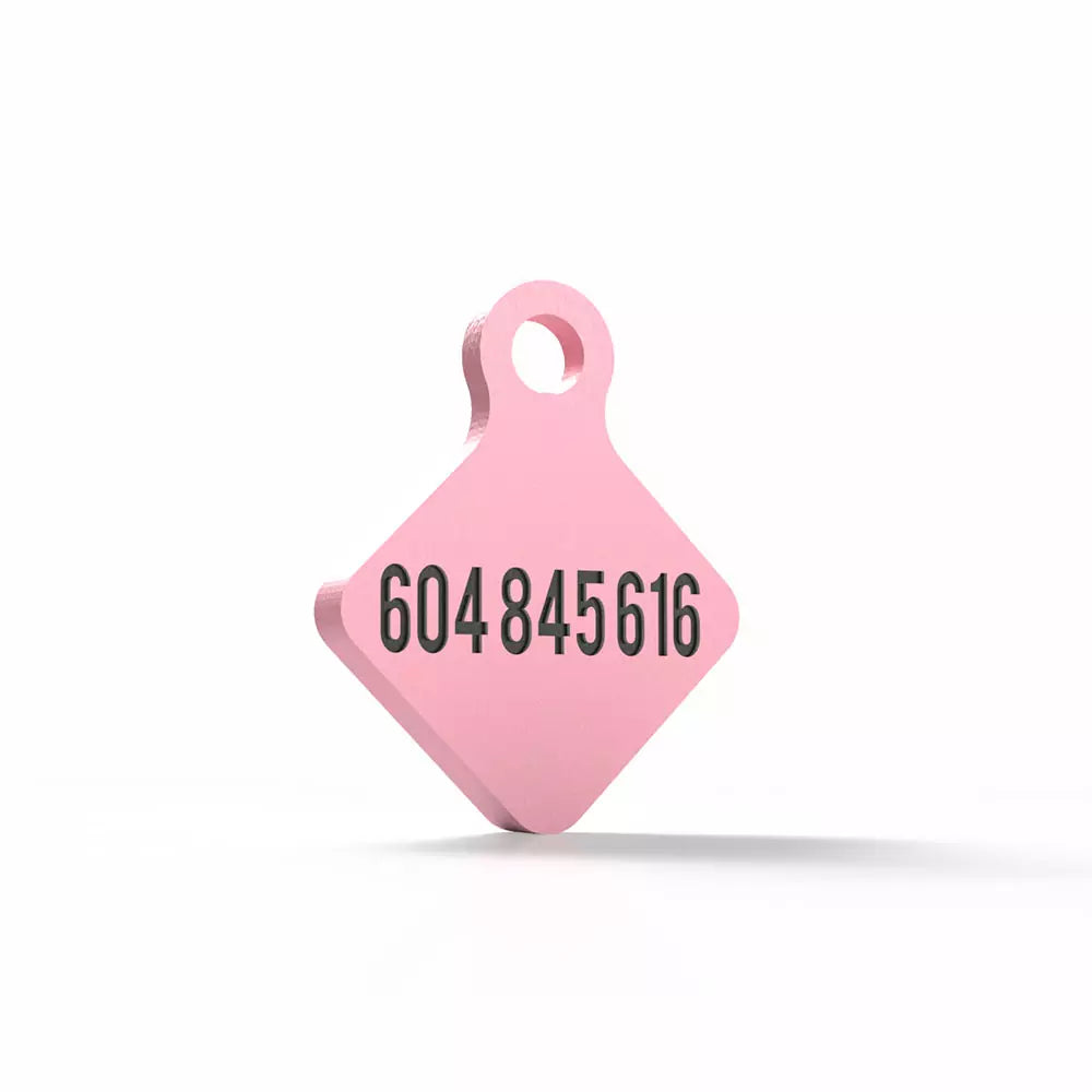 Chapita personalizada para perro – Rombo Scooby color rosa palo