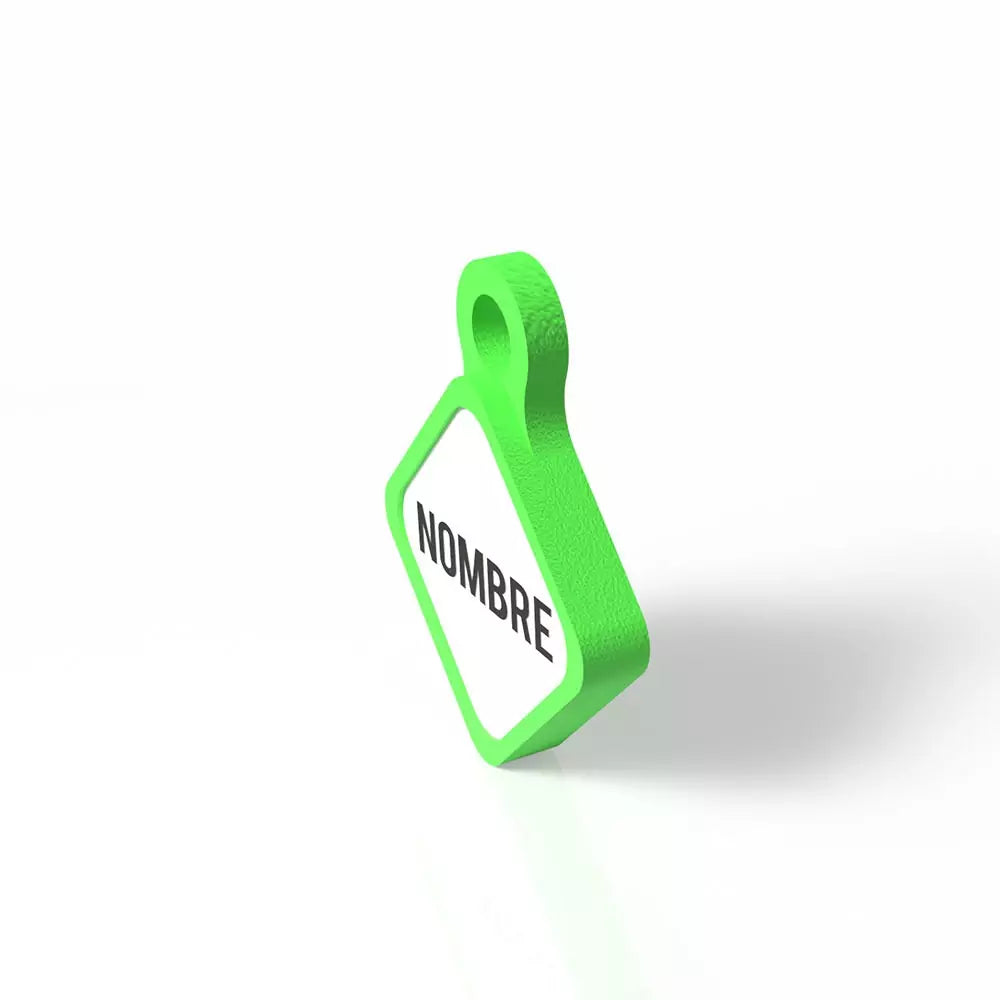 Chapita personalizada para perro – Modelo Rombo Scooby color verde