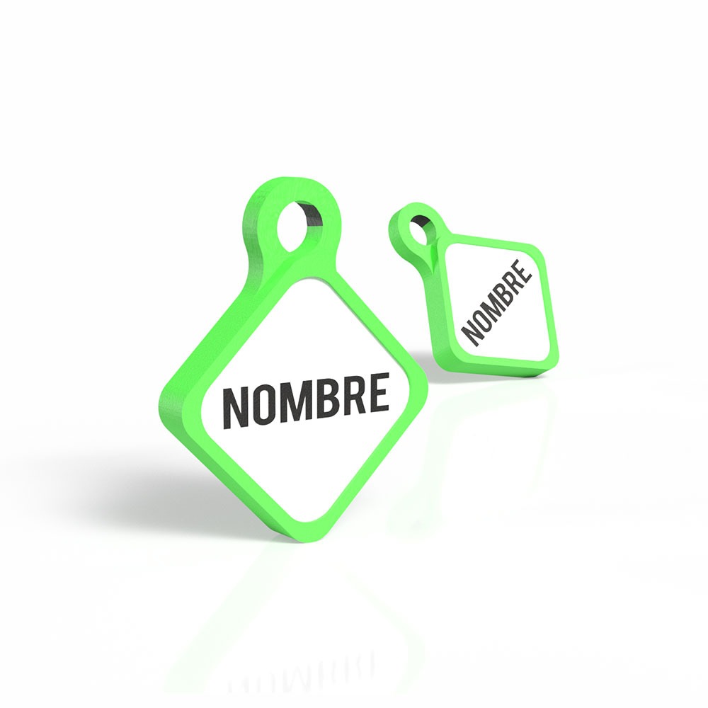 Chapita personalizada para perro – Modelo Rombo Scooby color verde