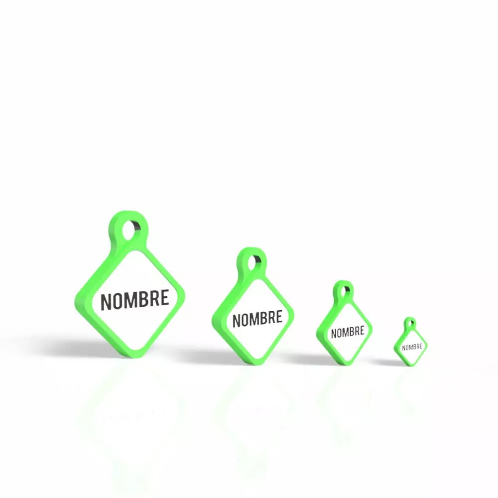 Chapita personalizada para perro – Modelo Rombo Scooby color verde