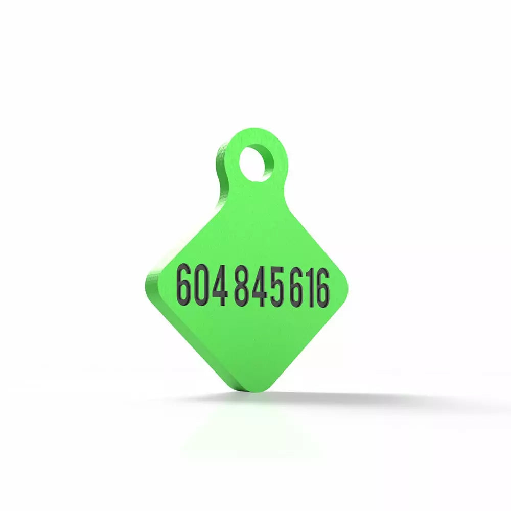 Chapita personalizada para perro – Modelo Rombo Scooby color verde