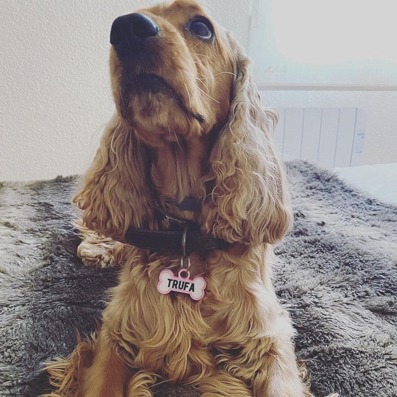 Chapita personalizada para perro – Modelo Huesito color rosa palo