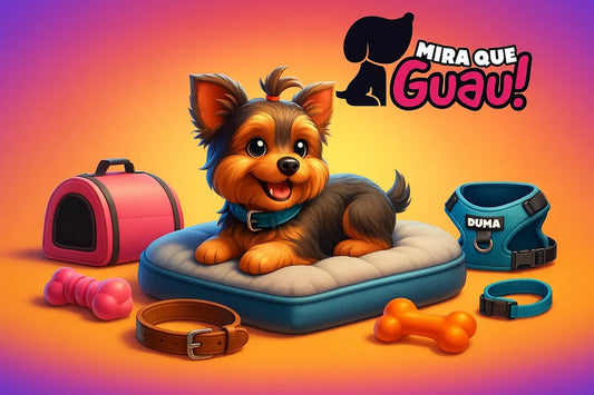 10 accesorios imprescindibles para perros pequeños
