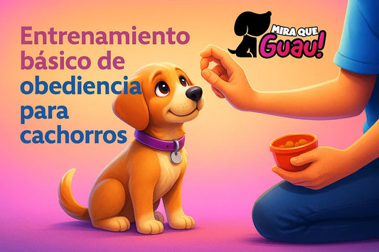 adiestramiento-cachorro