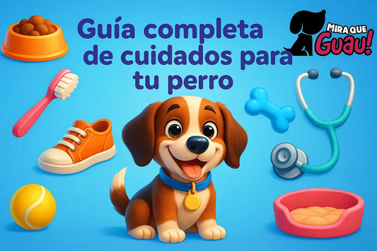 Guía completa de cuidados para tu perro