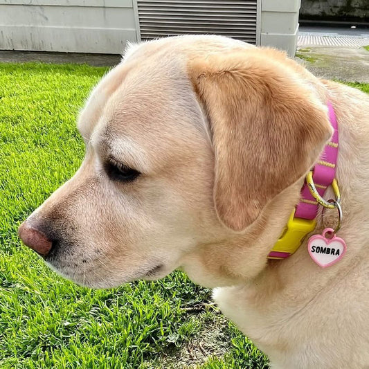 Chapita personalizada para perro – Modelo Corazón color rosa palo
