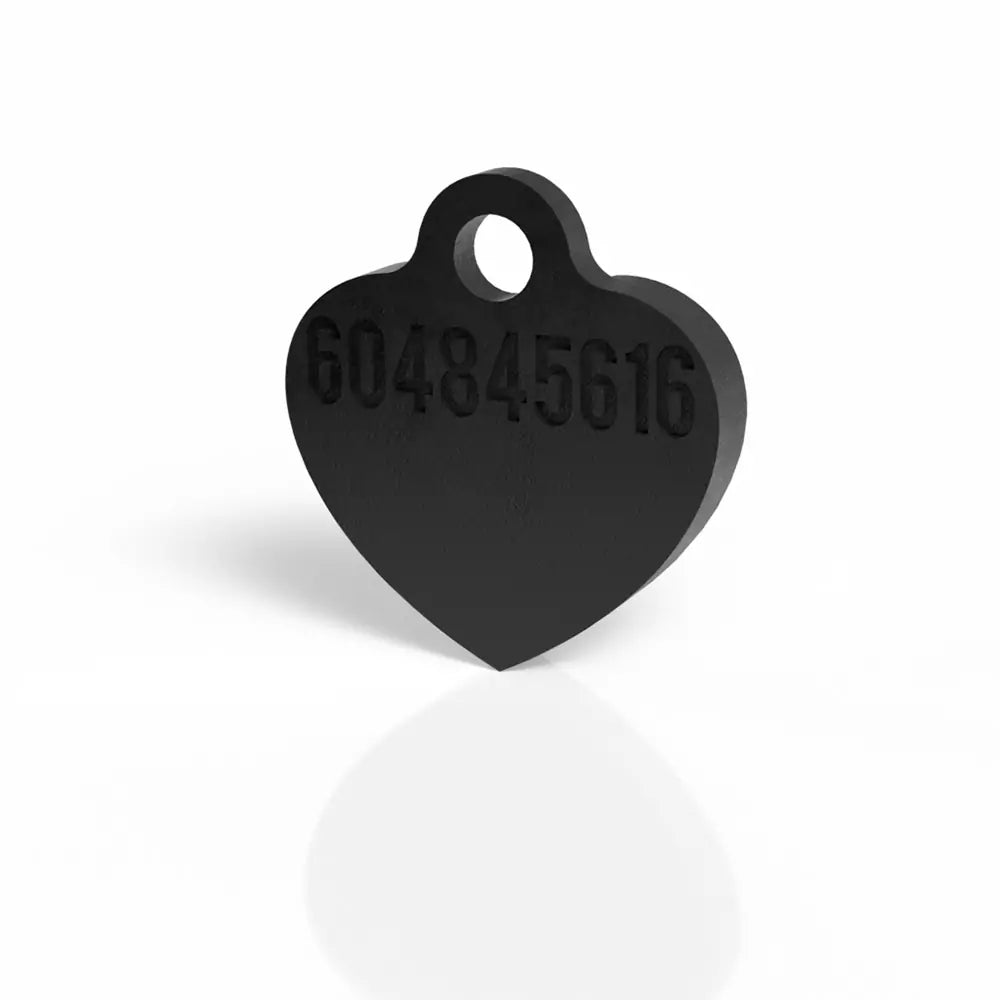 Perro con chapita corazón color negro, personalizada y combinada con su collar