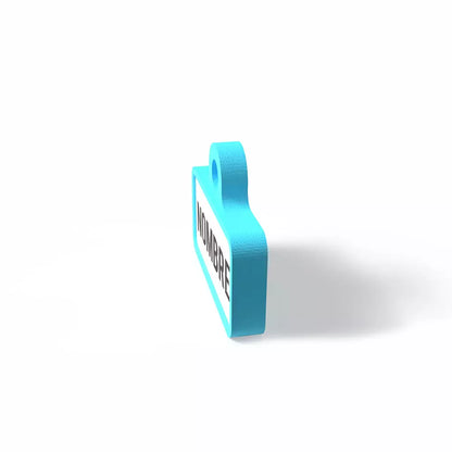 Chapita personalizada para perro – Modelo Retro azul cielo
