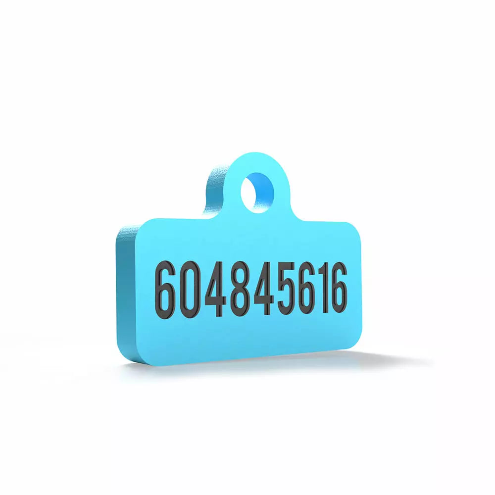 Chapita personalizada para perro – Modelo Retro azul cielo