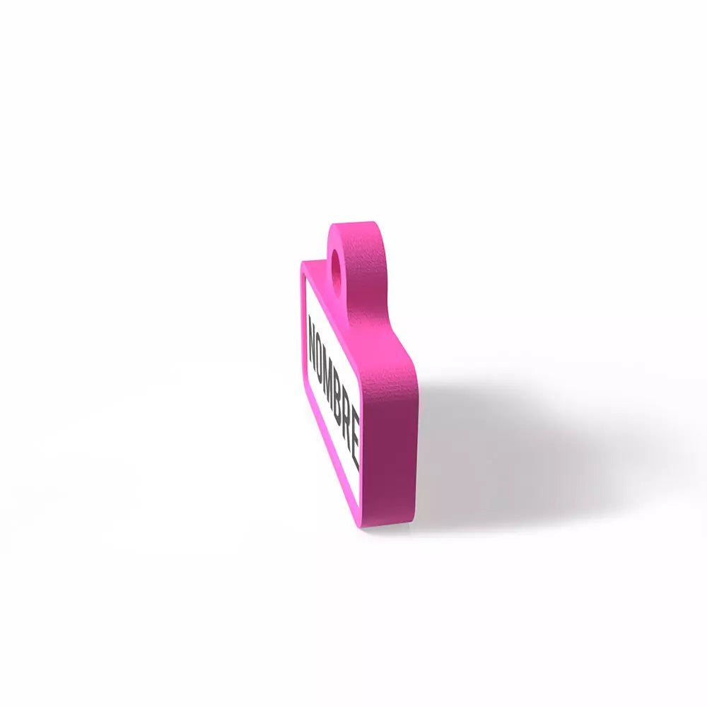 Chapita personalizada para perro – Modelo Retro color fucsia