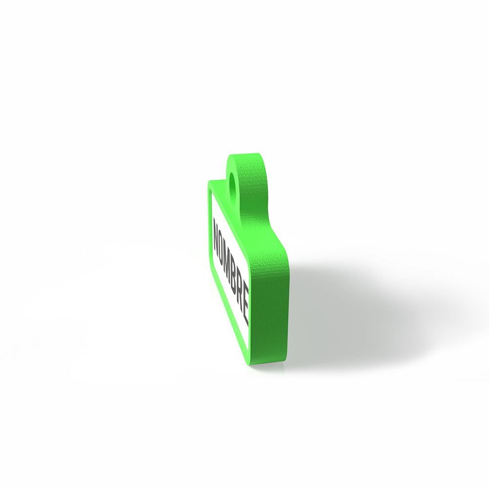 Chapita personalizada para perro – Modelo Retro color verde