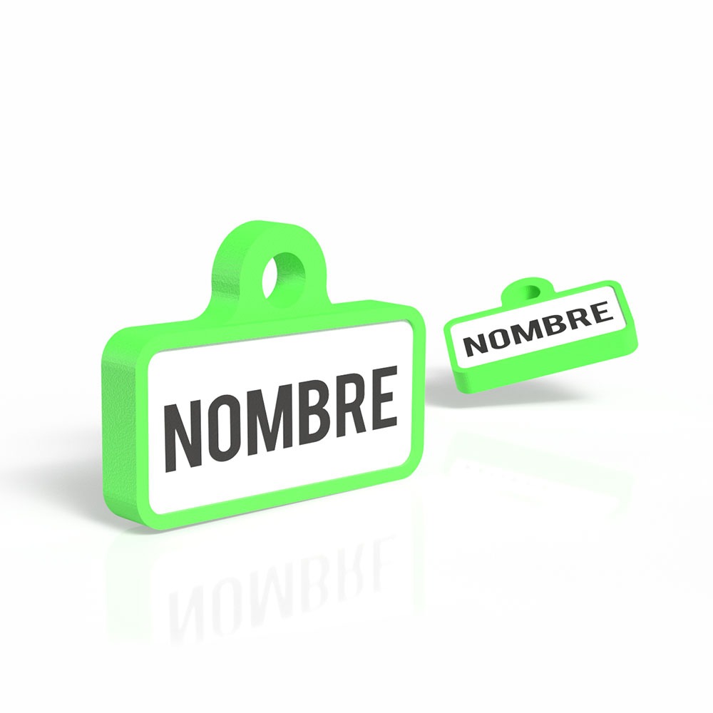 Chapita personalizada para perro – Modelo Retro color verde