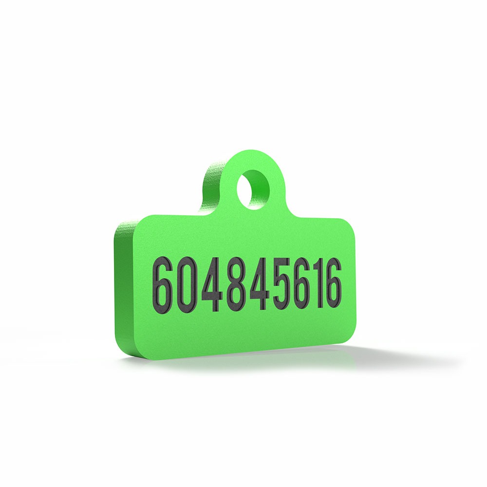 Chapita personalizada para perro – Modelo Retro color verde