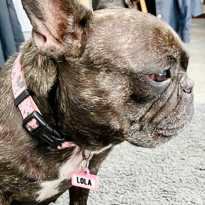 Chapita personalizada para perro – Modelo Retro color rosa palo