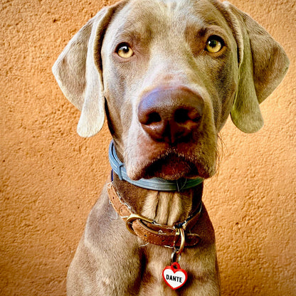 Badge en forme de cœur rouge
