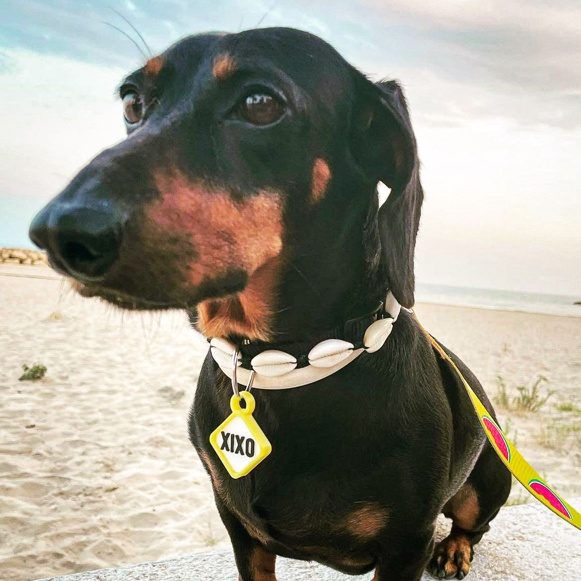 Badge Scooby jaune en forme de losange
