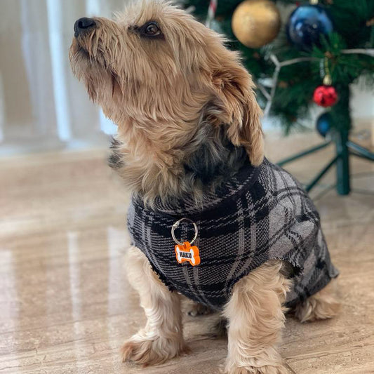 Chapita personalizada para perro – Modelo Huesito color naranja