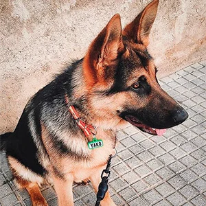 Yako con su chapita Mira Qué Guau!