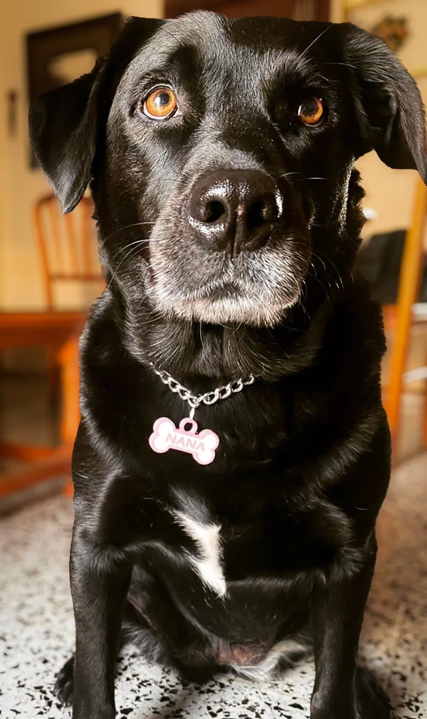 Nana con su chapita Mira Qué Guau!