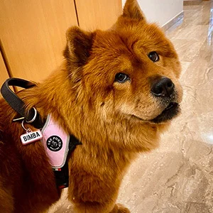 Bimba con su chapita Mira Qué Guau!