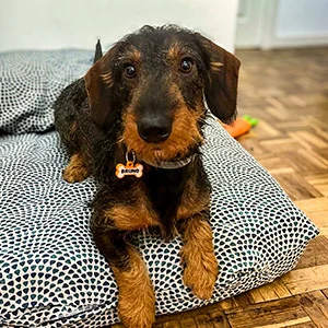 Bruno con su chapita Mira Qué Guau!