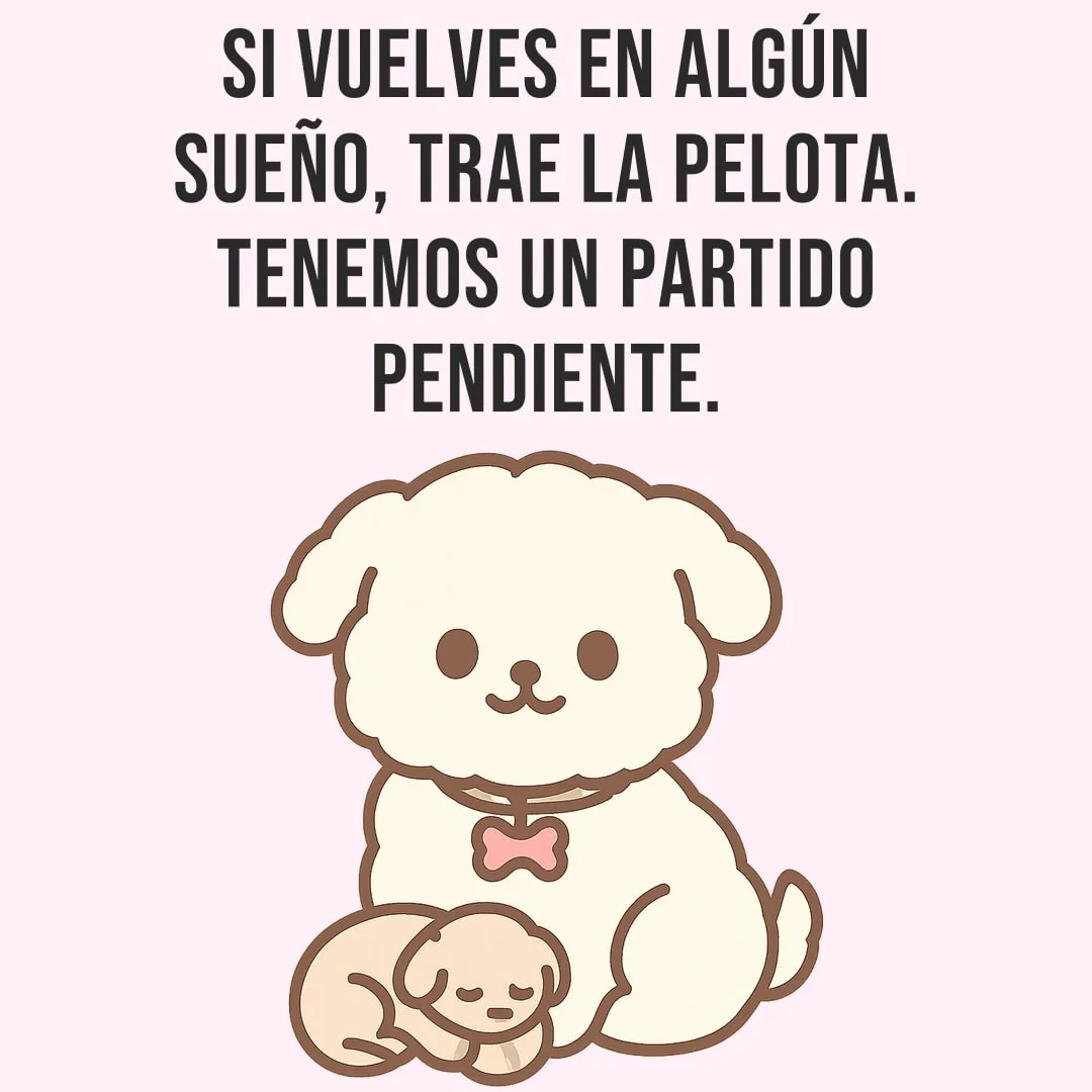 Si vuelves en algún sueño, trae la pelota. Tenemos un partido pendiente.

Compár