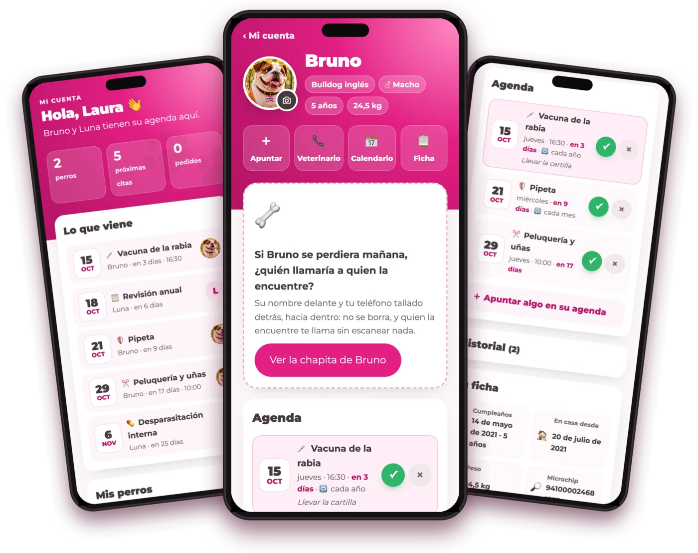 La agenda en el móvil: próximas citas, ficha del perro y recordatorios