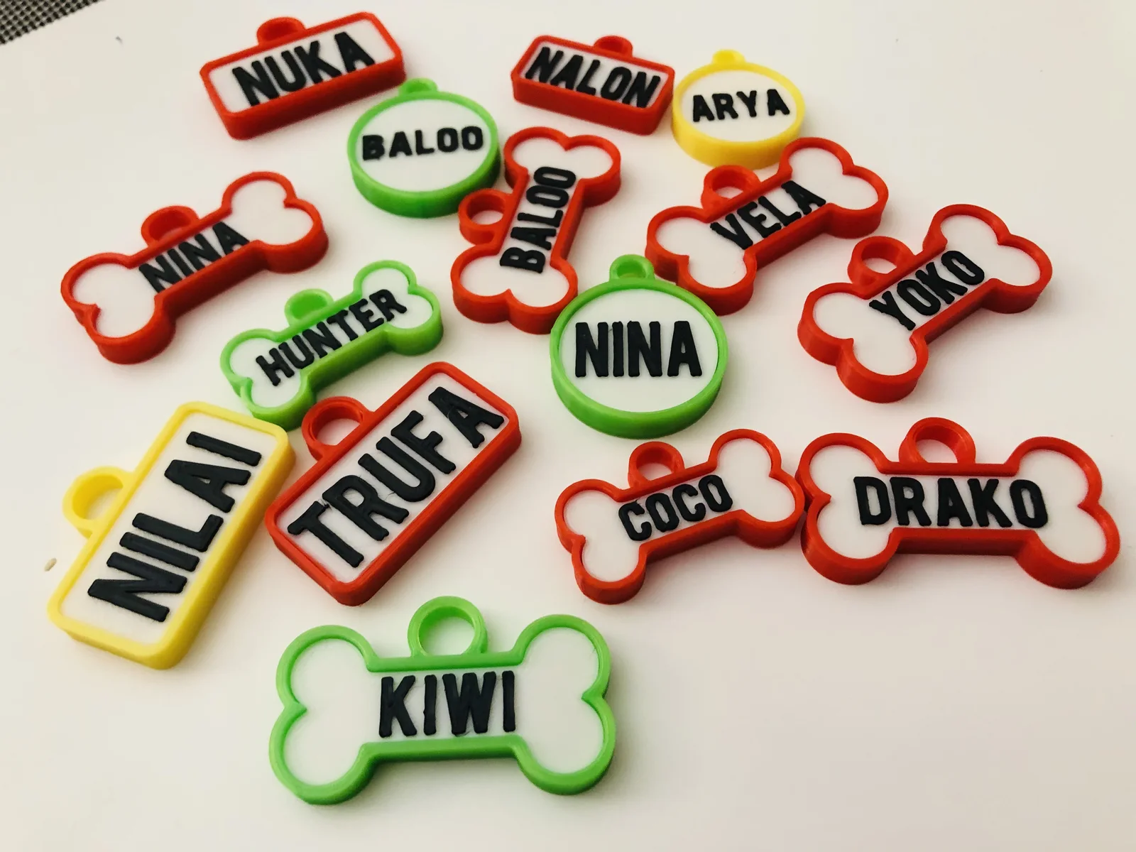 Um pouco de tudo: Nuka, Nilai, Trufa, Kiwi, Baloo, Arya e Nina