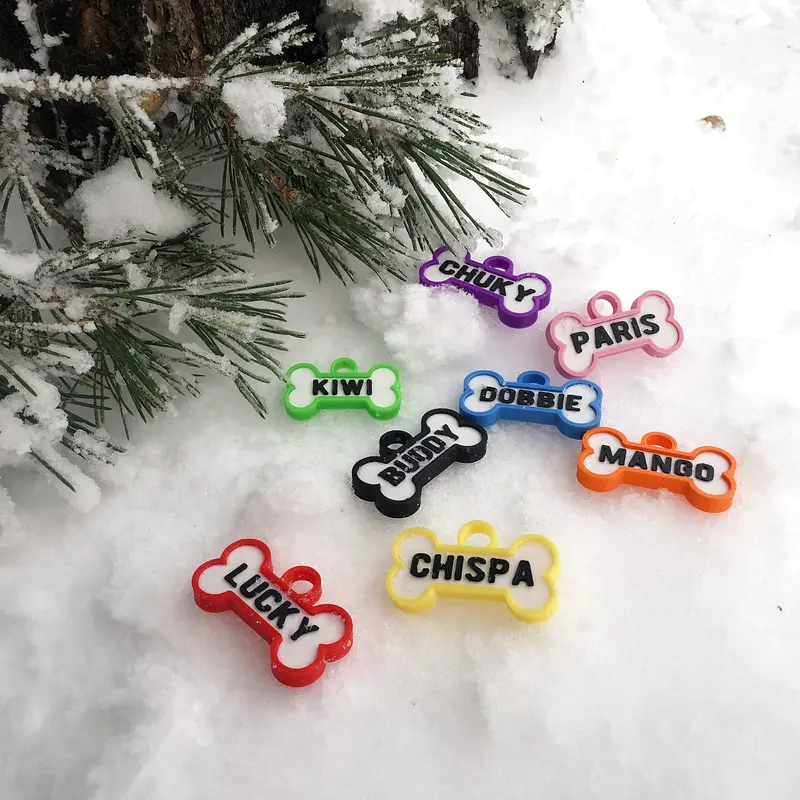 Chapitas de perro de colores sobre la nieve junto a un pino: Chispa, Kiwi, Mango y París
