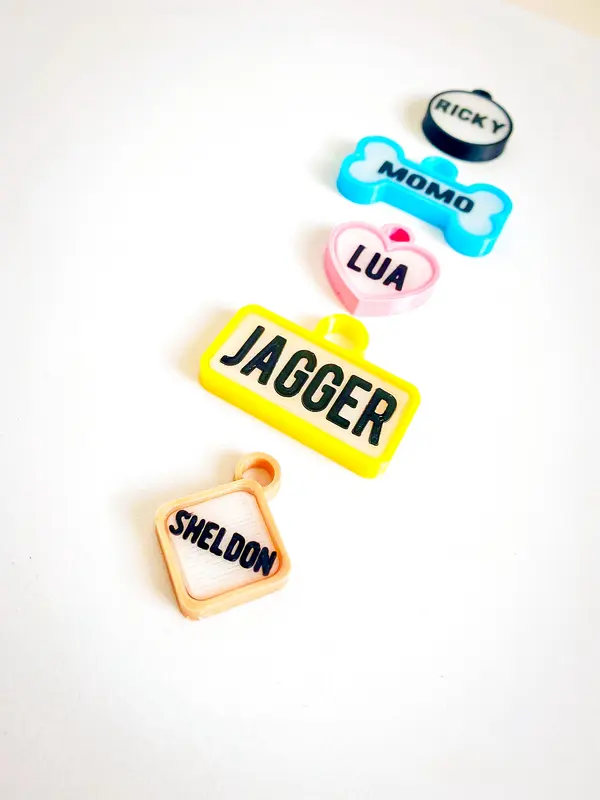 Chapitas de perro de varias formas y colores: Jagger, Lua, Momo, Sheldon y Ricky