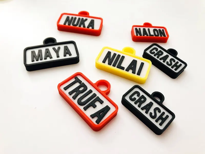Chapitas de perro rectangulares de colores: Maya, Nilai, Trufa, Nuka, Crash y Nalon